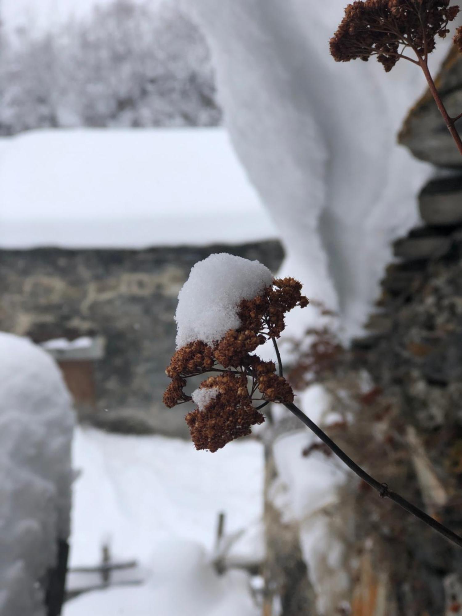Old House Ushguli Exterior foto